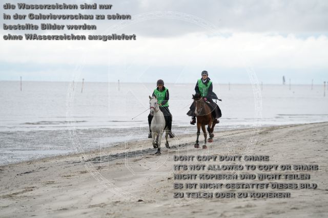 s_K3F04692.JPG